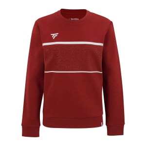Tecnifibre Team Sweater 21wtesw Junior