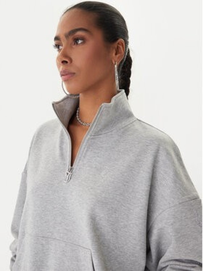 Juicy Couture Bluza Castella JCWAS225319 Szary Oversize