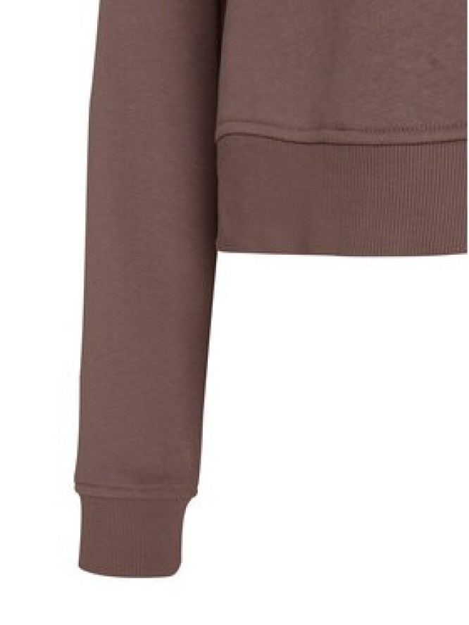 Reebok Bluza Ilona RK25712CCW Brązowy jasny Regular Fit