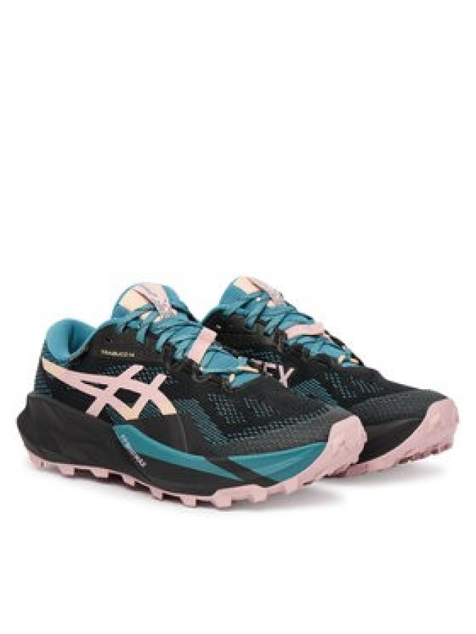 Asics Buty do biegania Trabuco 14 Gtx 1012B936 Czarny