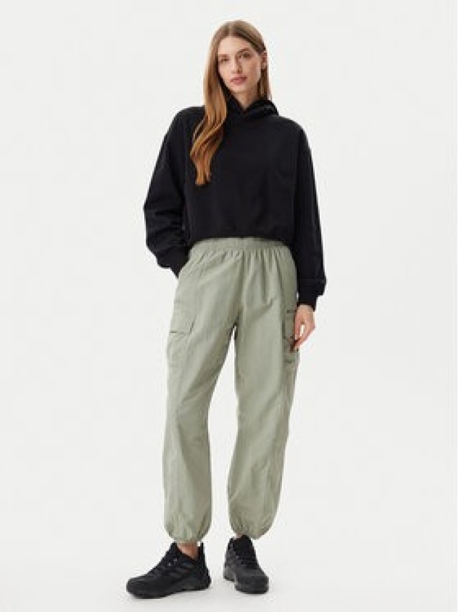 Columbia Spodnie outdoor Sandier™ Parachute 2119061 Zielony Relaxed Fit