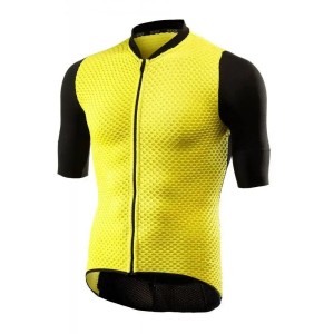 Jersey Sixs Hive