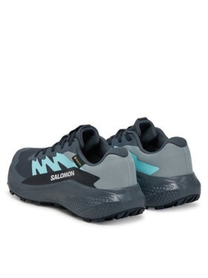 Salomon Buty do biegania Alphaglide Gore-Tex L47802500 Szary