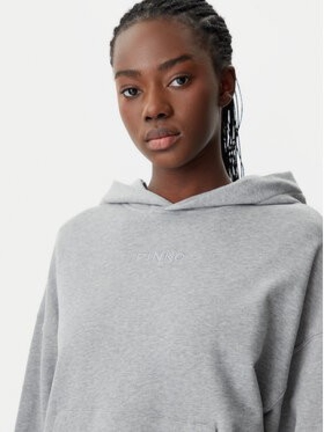 PINKO Bluza 104623 A2F9 I42 Szary Regular Fit