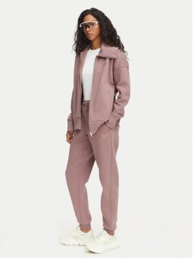 Reebok Spodnie dresowe Zana RK25690CC Brązowy Regular Fit
