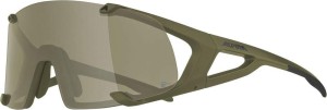 Okulary przeciwsłoneczne Alpina Hawkeye Q-Lite