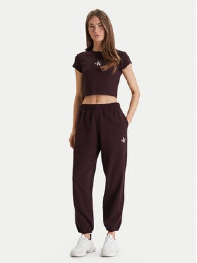 Calvin Klein Jeans Spodnie dresowe Monologo LV047B235G Brązowy Regular Fit