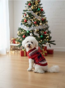 Świąteczny sweter dla zwierząt - wielobarwny