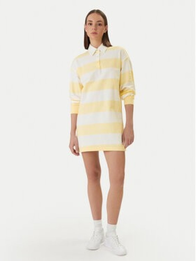 Calvin Klein Jeans Sukienka codzienna LV047F214G Kolorowy Loose Fit