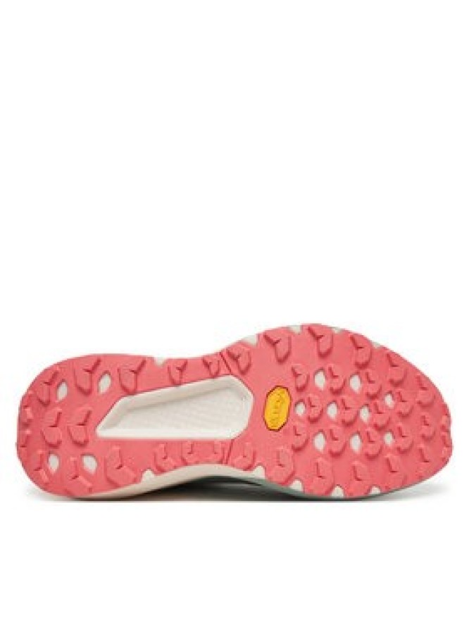 Dynafit Buty do biegania 1307 Zielony