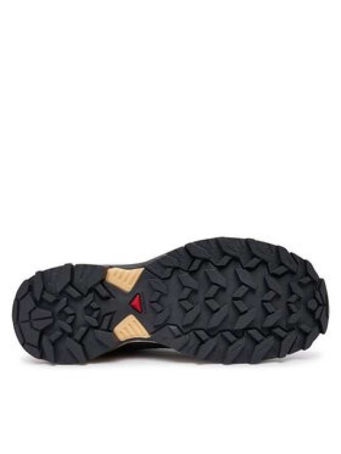 Salomon Trekkingi X ULTRA 360 L45395100 Beżowy