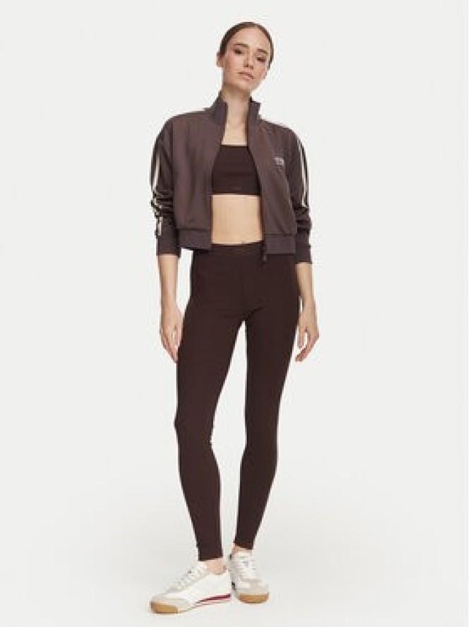 Guess Legginsy V6YB23 K4666 Brązowy ciemny Slim Fit