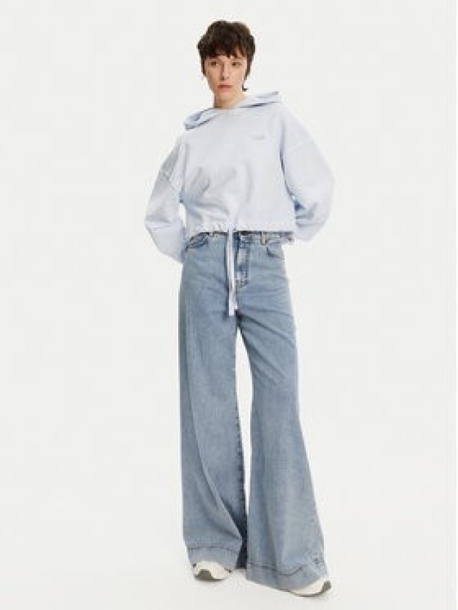 Tommy Jeans Bluza DW0DW20314 Niebieski Relaxed Fit