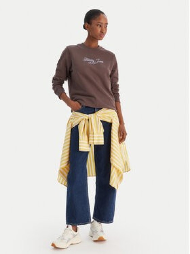 Tommy Jeans Bluza Essential DW0DW21922 Brązowy Regular Fit