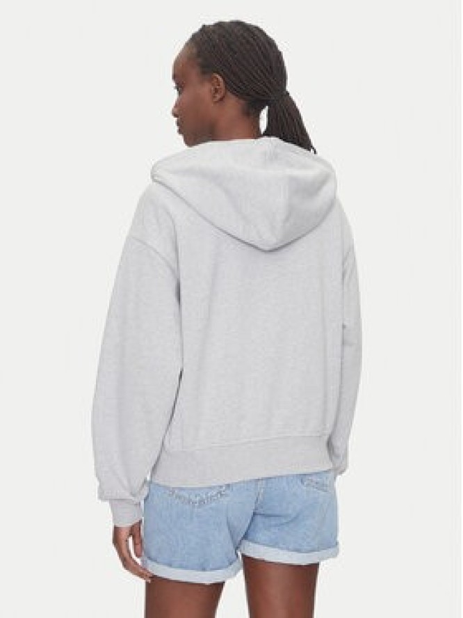 Calvin Klein Jeans Bluza Monologo LV047B270G Szary Regular Fit