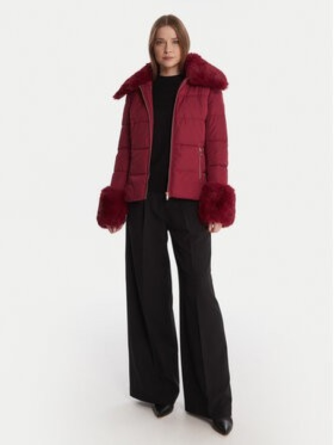 Artigli Kurtka przejściowa ACPM003096 Bordowy Regular Fit