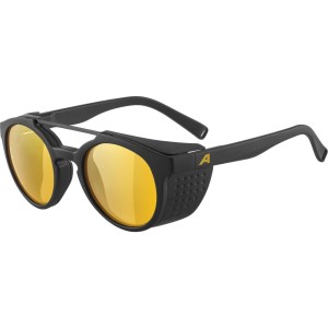 Okulary przeciwsłoneczne Alpina Glace P