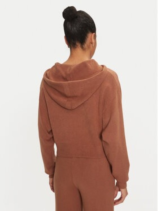 Fracomina Sweter FJ24WT7009K42001 Brązowy Regular Fit