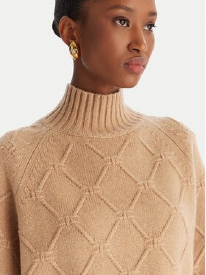 Elisabetta Franchi Sweter MK-55T-57E2 Brązowy Regular Fit