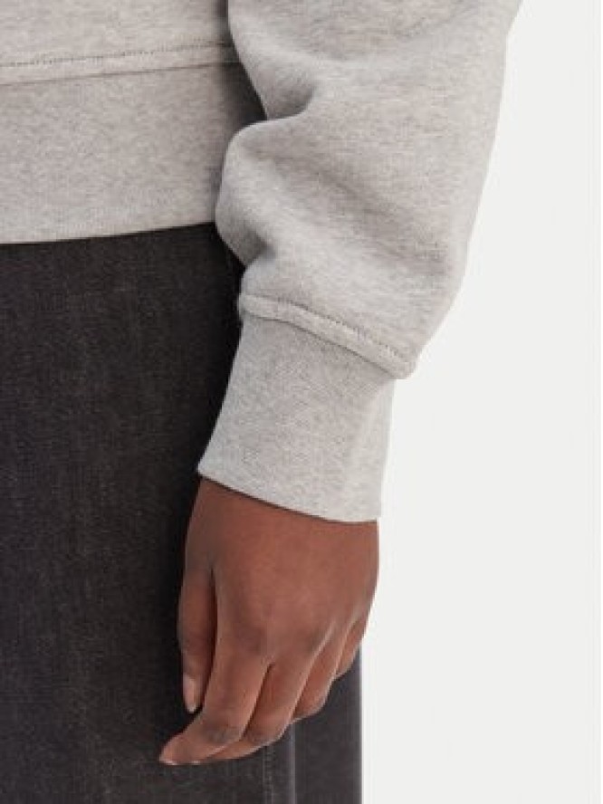 Calvin Klein Jeans Bluza LV047C224G Szary Regular Fit