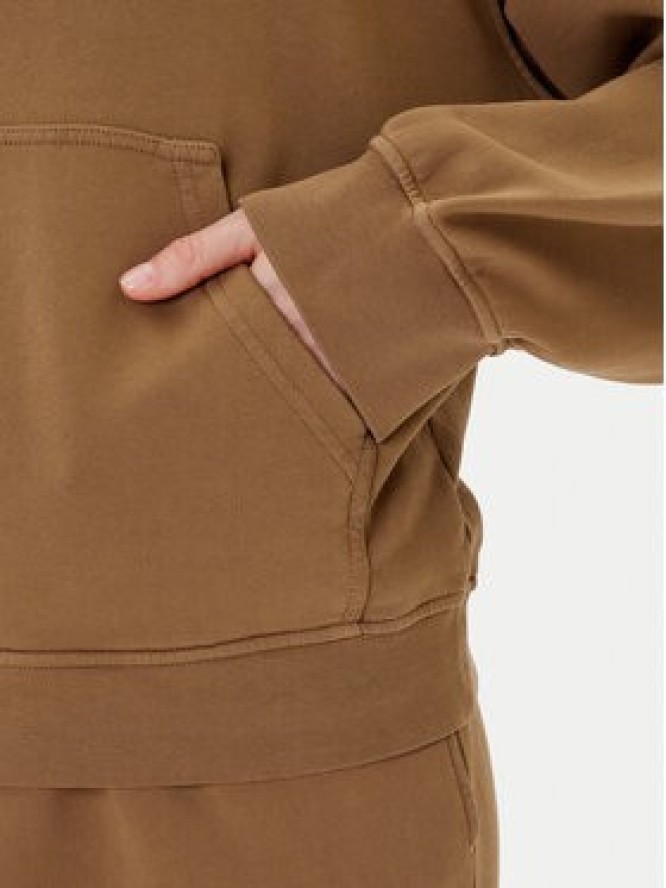 PINKO Bluza Melato 105507 A2RB Brązowy Regular Fit