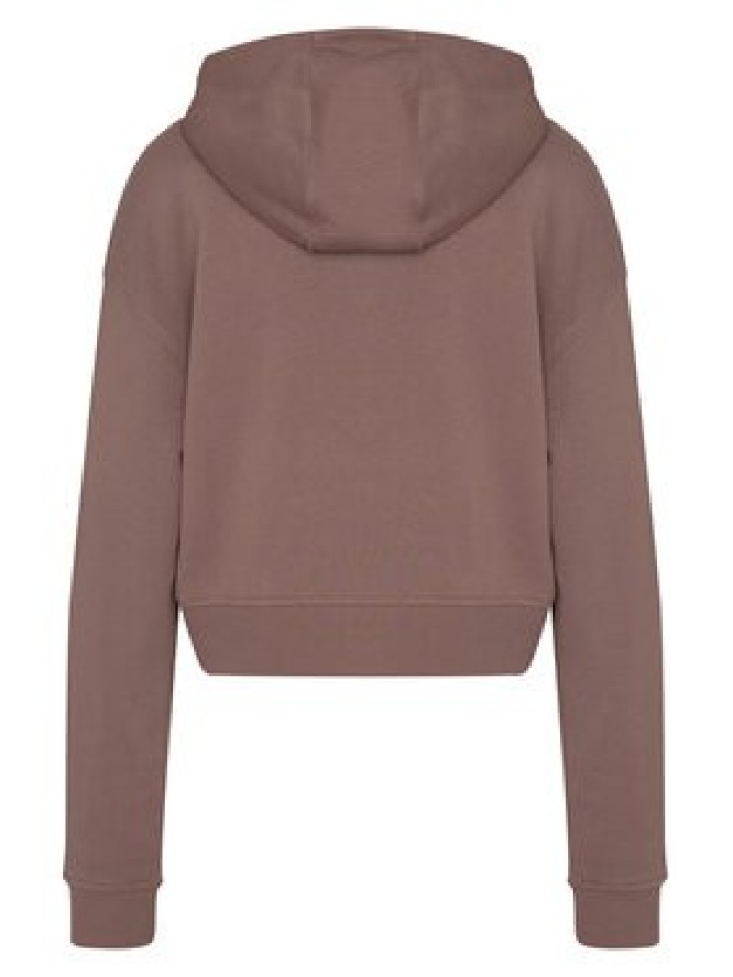 Reebok Bluza Ilona RK25712CCW Brązowy jasny Regular Fit