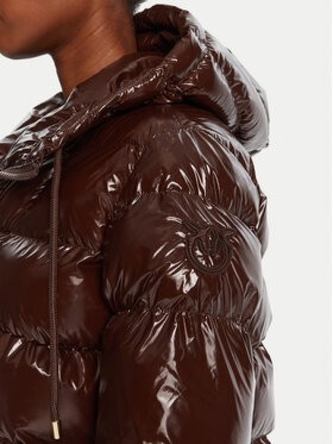 PINKO Kurtka zimowa Eleodoro 101597 A2P7 Brązowy Regular Fit