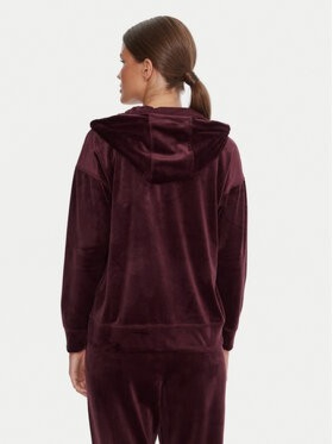 DKNY Sport Bluza DP5J9634 Bordowy Regular Fit