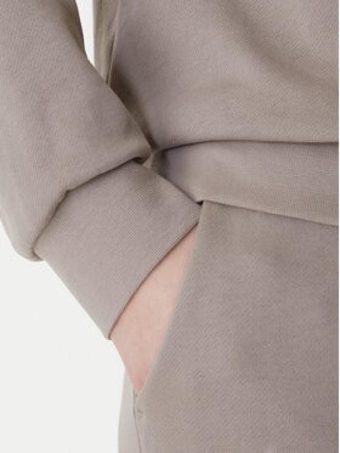 EA7 Emporio Armani Bluza 7W000953 AF15831 Brązowy Regular Fit