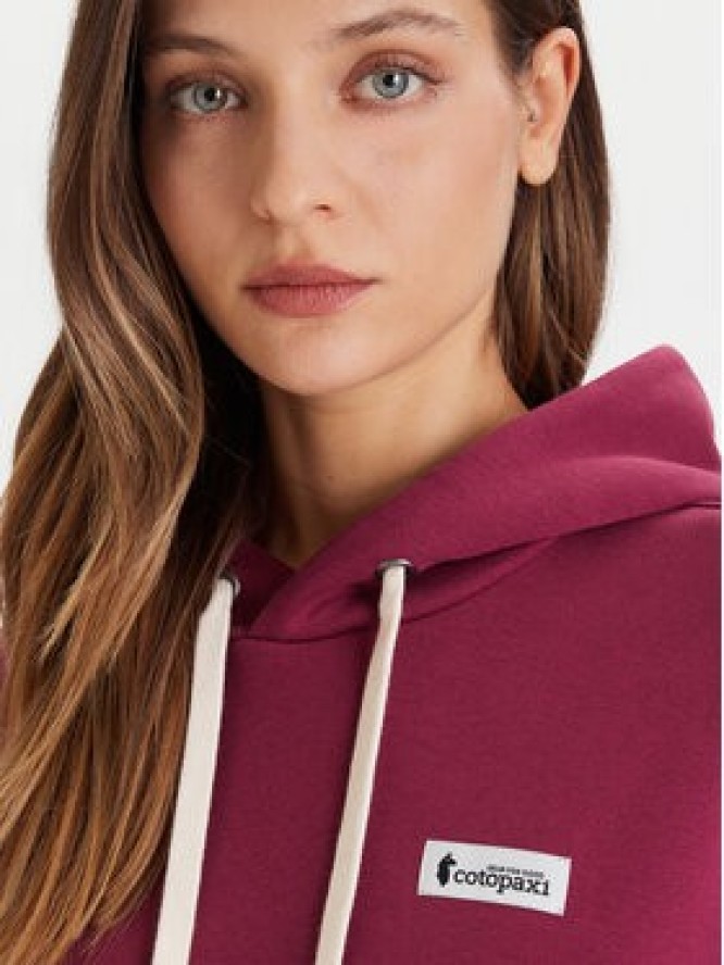 Cotopaxi Bluza Llama Patch Pullover Hoodie F24474W1160 Fioletowy Regular Fit