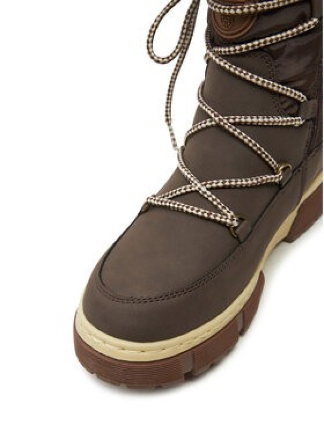 Vertigo Alpes Śniegowce Uciole Brązowy