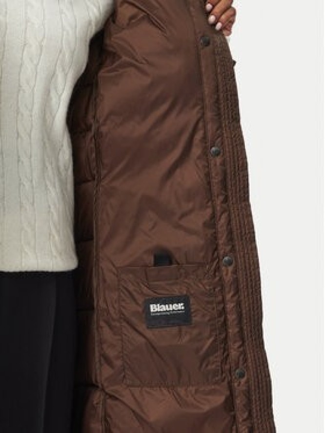Blauer Kurtka zimowa Anita 26WBLDK03043 006047 Brązowy Regular Fit