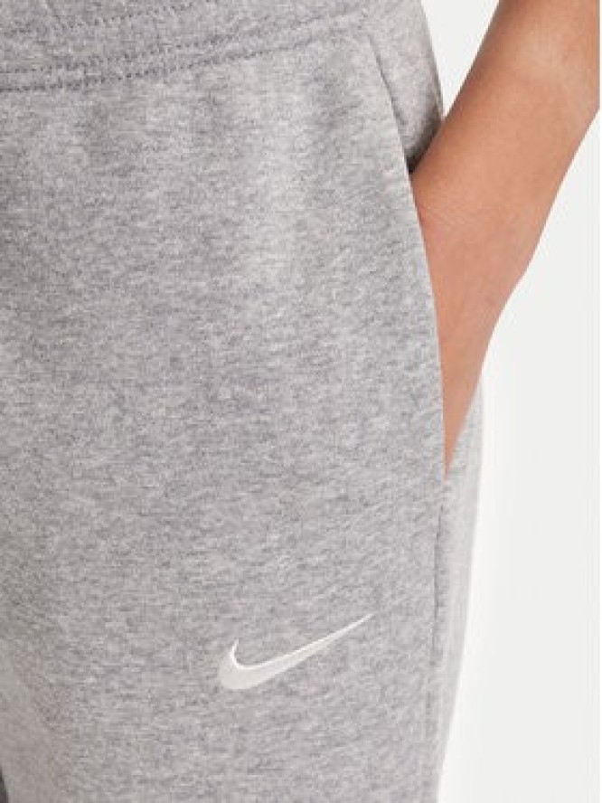Nike Spodnie dresowe FZ7626 Szary Regular Fit