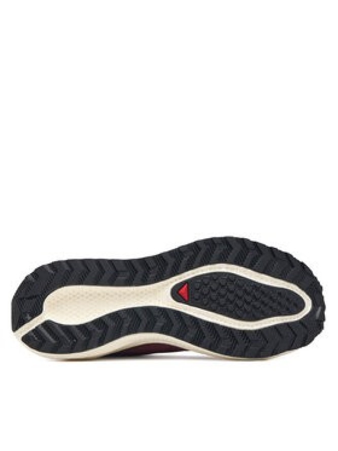 Salomon Buty do biegania Aero Blaze 4 GRVL L45401700 Bordowy