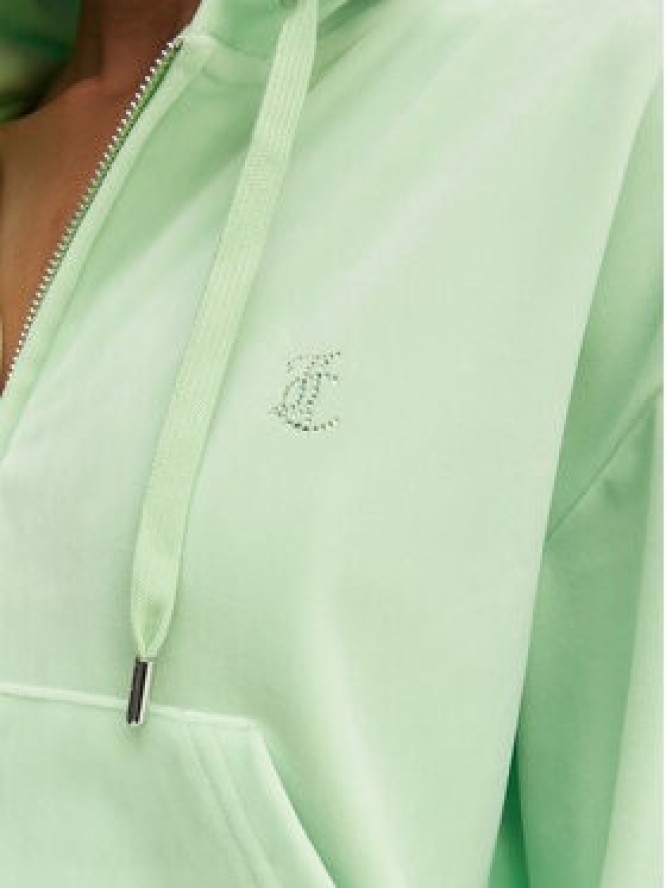Juicy Couture Bluza Iccle JCWAS126304 Zielony Oversize