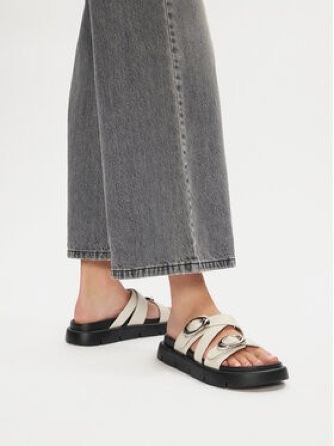 Badura Klapki CHAMOMILE-7Y002 Beżowy