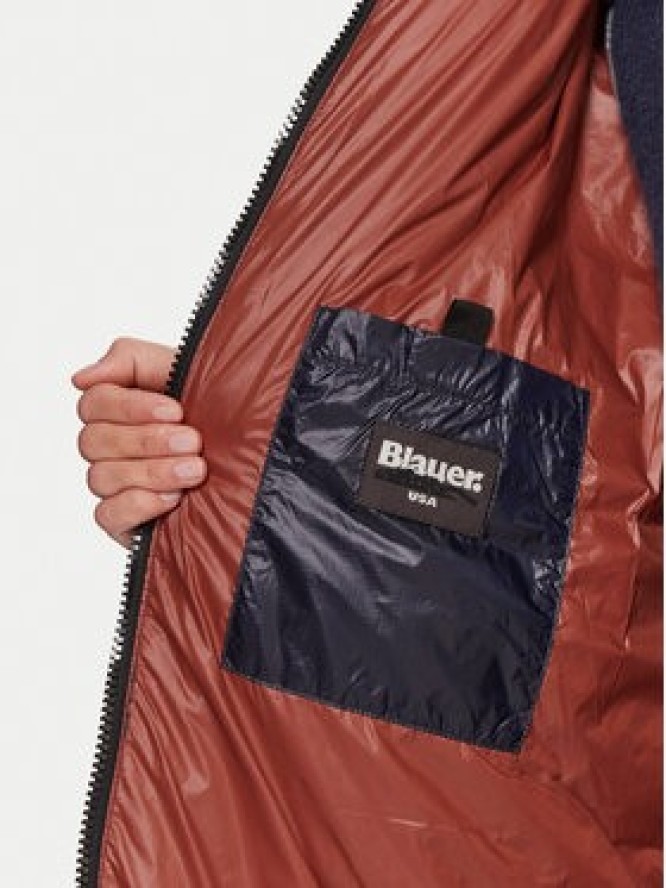 Blauer Kurtka zimowa 25WBLDK02192 Granatowy Regular Fit