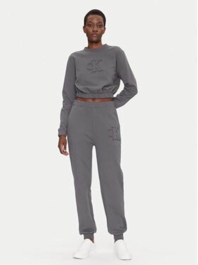 Calvin Klein Jeans Spodnie dresowe J20J225355 Szary Regular Fit