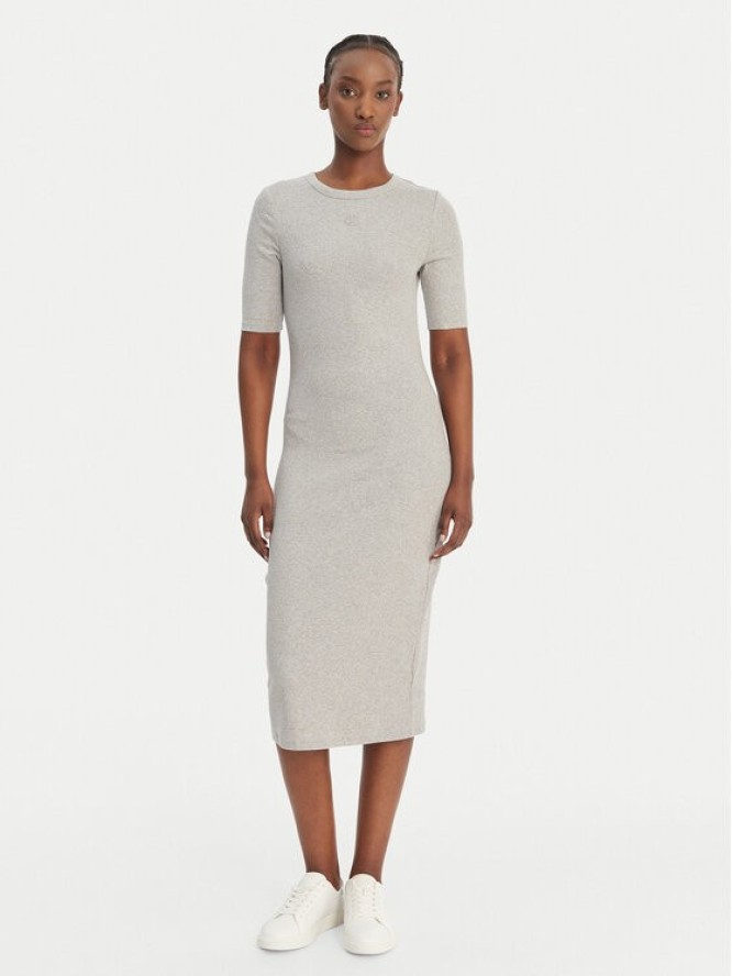 Calvin Klein Jeans Sukienka codzienna LV047D217G Szary Slim Fit