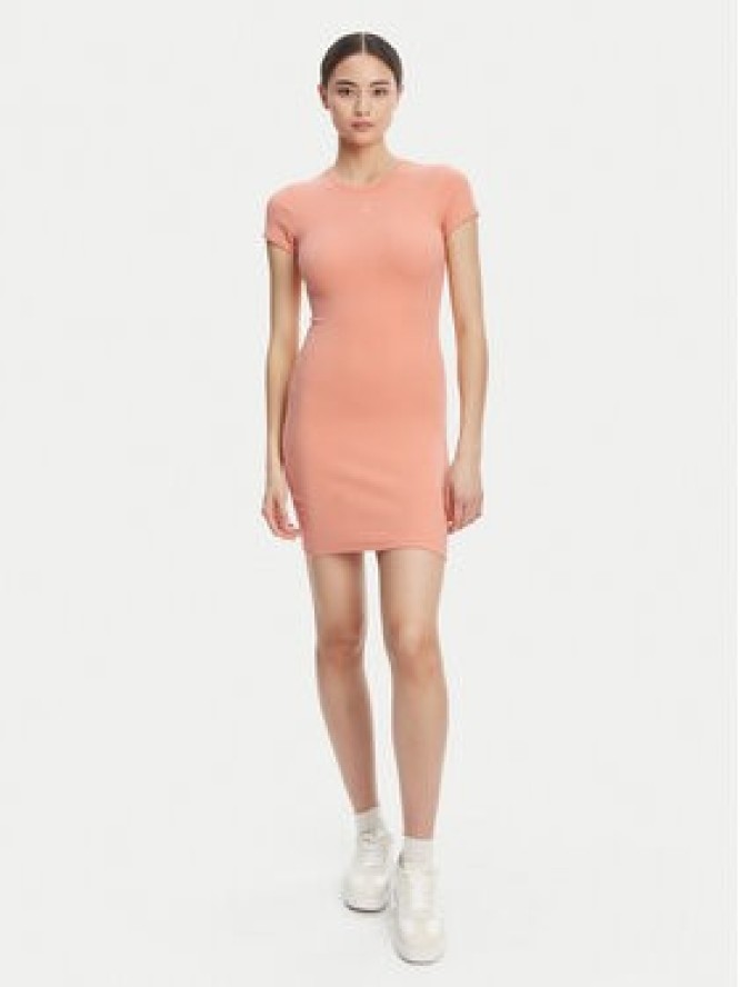 Calvin Klein Jeans Sukienka codzienna LV047B266G Koralowy Slim Fit