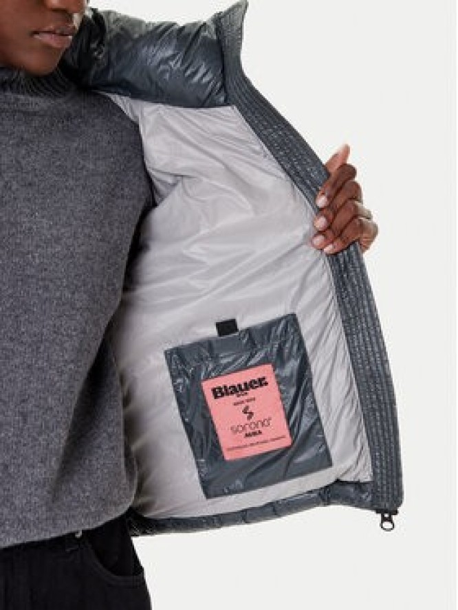 Blauer Kurtka zimowa 25WBLDC02170 Szary Regular Fit