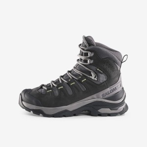 Buty trekkingowe damskie Salomon Quest 4 GTX wodoodporne