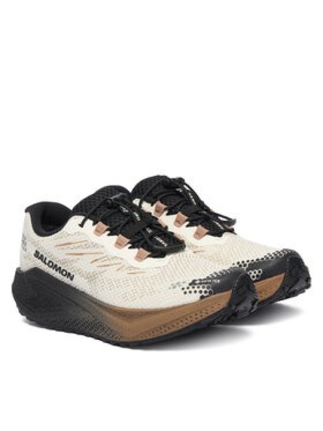 Salomon Buty do biegania Aero Blaze 4 gtx GORE-TEX L45403900 Beżowy