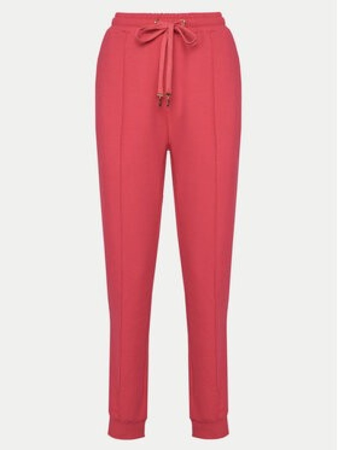 Gaudi Spodnie dresowe 511BD24004 Różowy Regular Fit