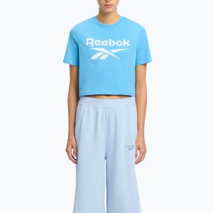Koszulka Reebok Identity Big Logo Crop Tee