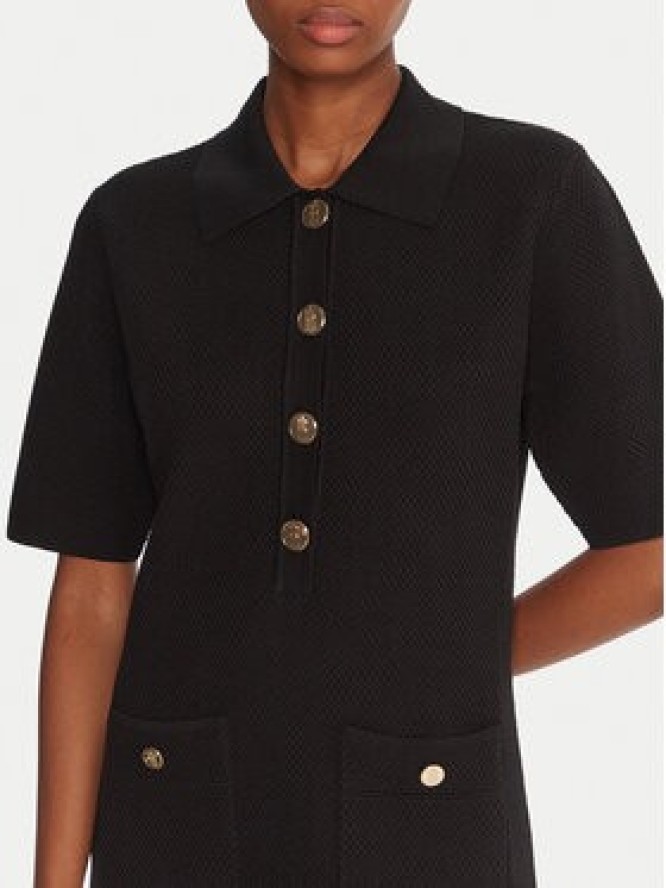 Fracomina Sukienka codzienna FR25WD5005K55301 Czarny Regular Fit