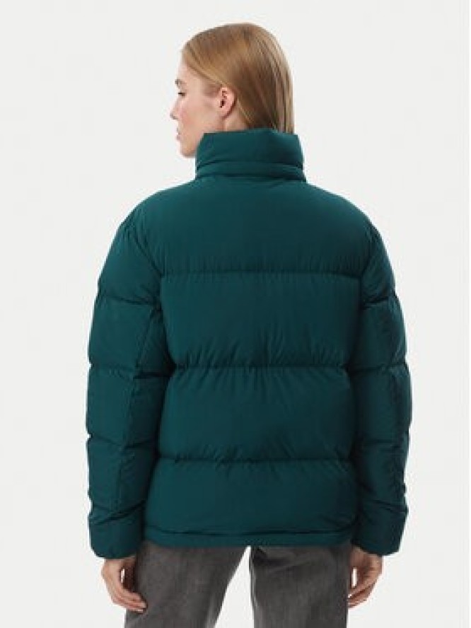 Tommy Jeans Kurtka puchowa Alaska DW0DW18610 Zielony ciemny Regular Fit