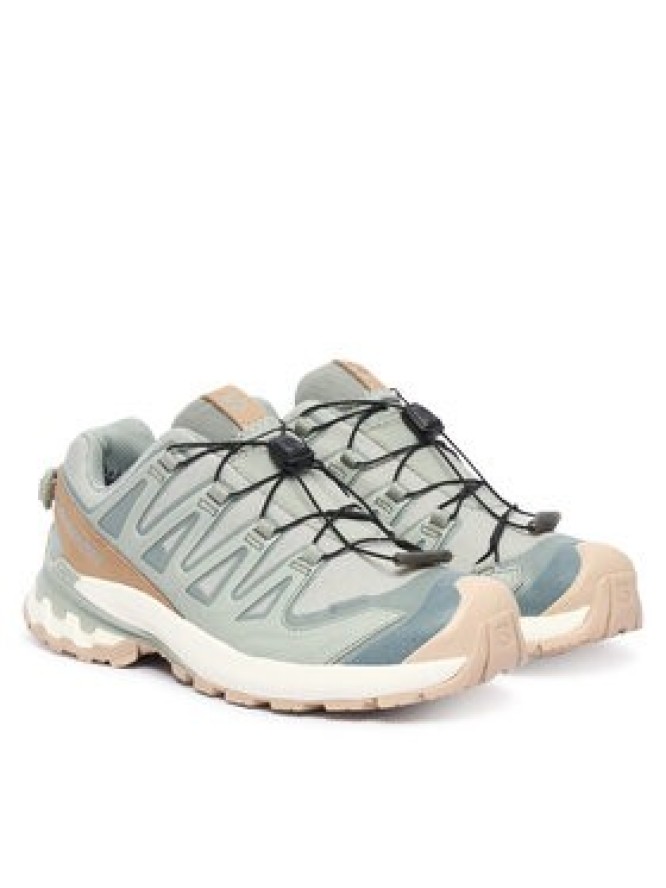 Salomon Buty do biegania Xa Pro 3D V9 Gtx Lifelong W GORE-TEX L49297300 Niebieski