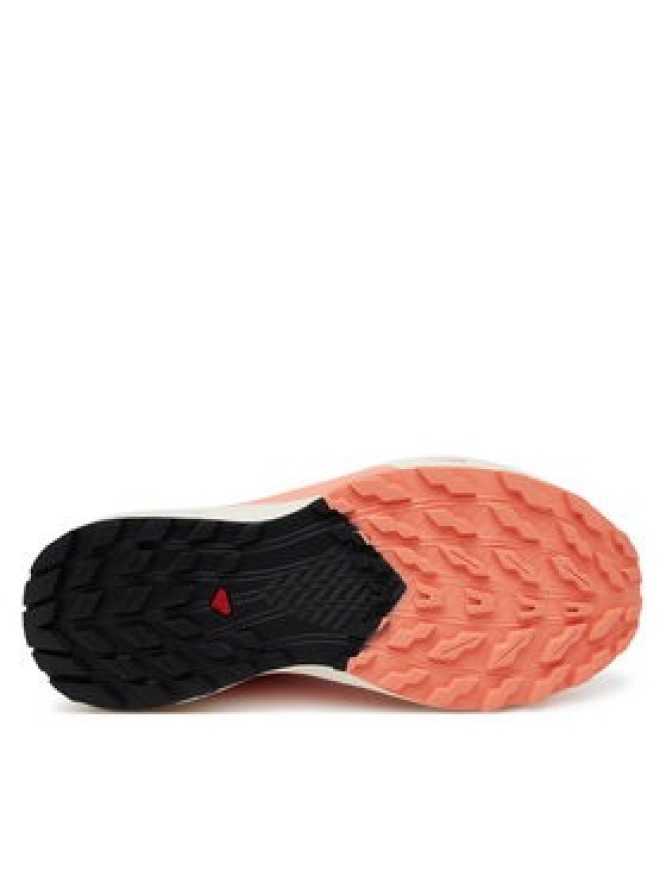 Salomon Buty do biegania Sense Ride 5 L47808700 Pomarańczowy