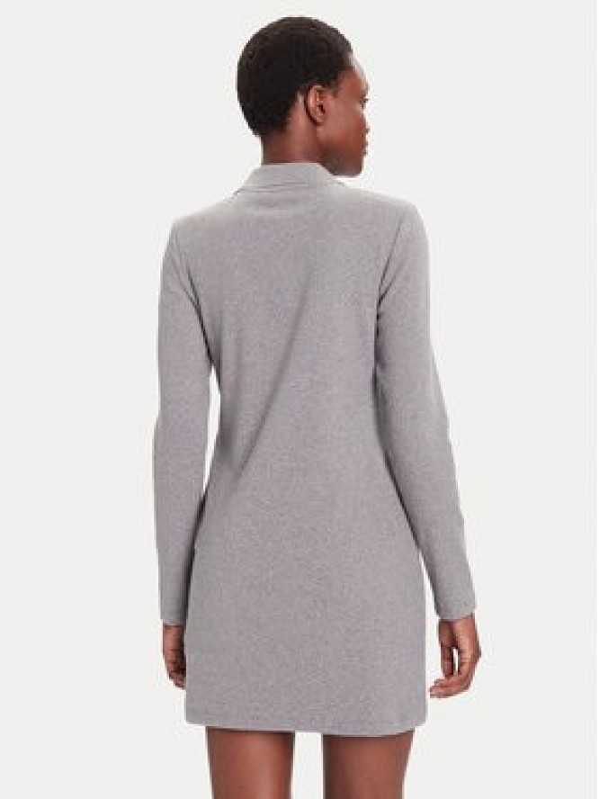 Calvin Klein Jeans Sukienka codzienna Monologo LV047D214G Szary Slim Fit